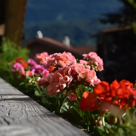 Heideggerhof טהאור