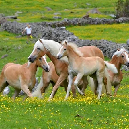 Heideggerhof דירה